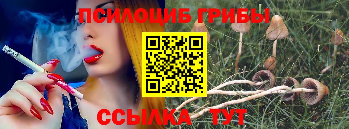 что такое   Псилоцибиновые грибы прущие грибы  Вход с VPN  Тула  Галлюциногенные грибы мухоморы 