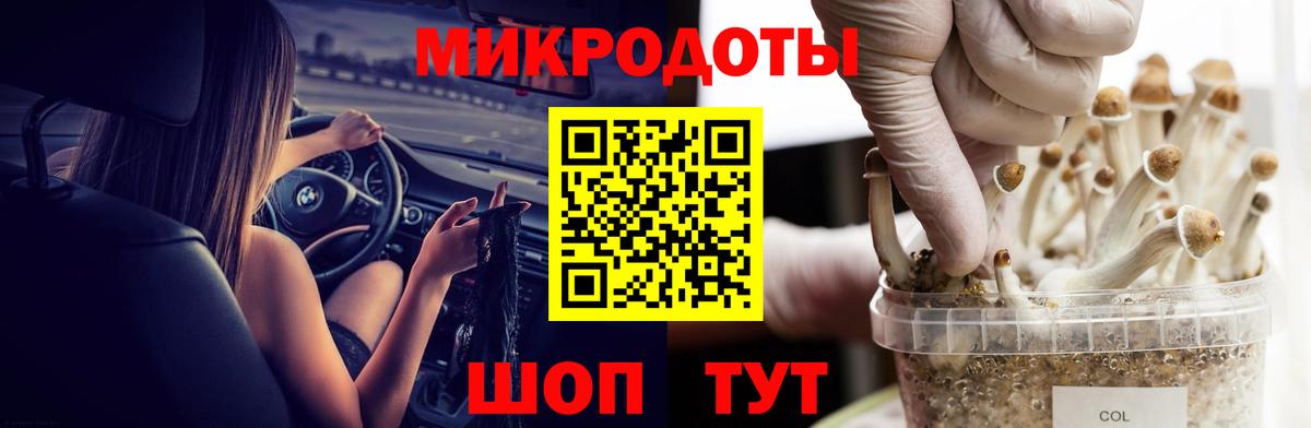 Псилоцибиновые грибы GOLDEN TEACHER Тула